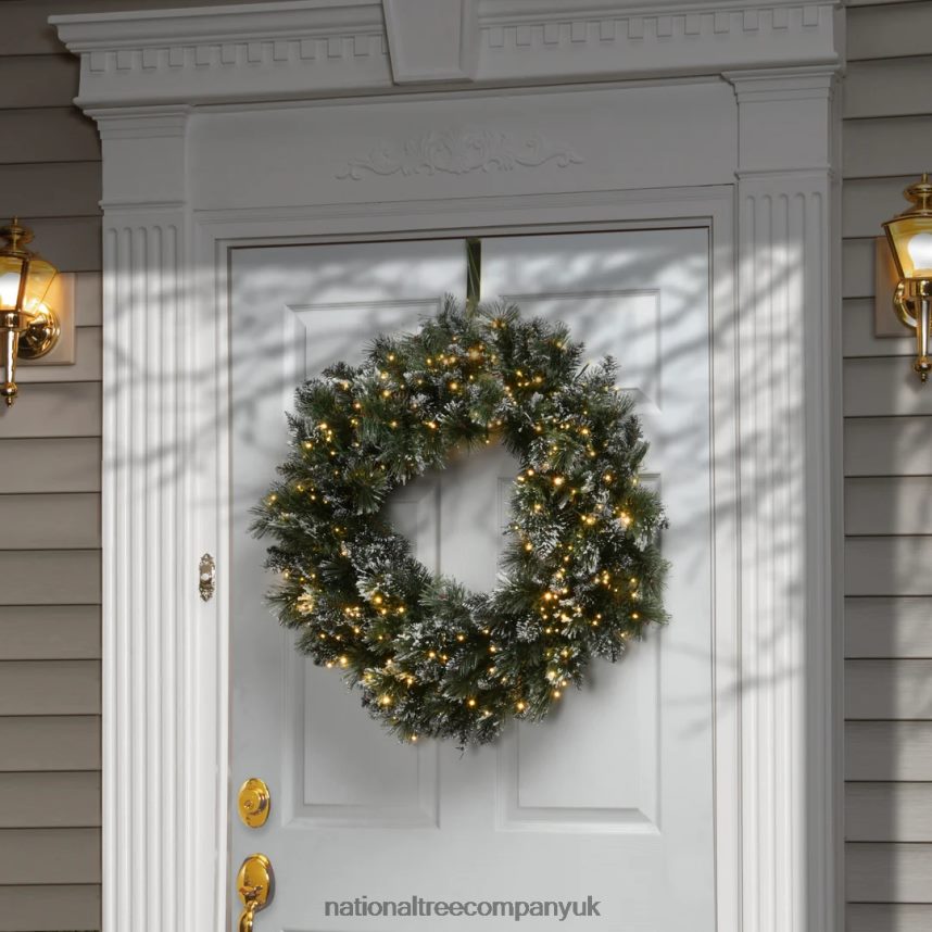 Greenery | National Tree Company 30\ Glittery Bristle Pine Wreath with Dual Color LED Cosmic Lights F2L4F262